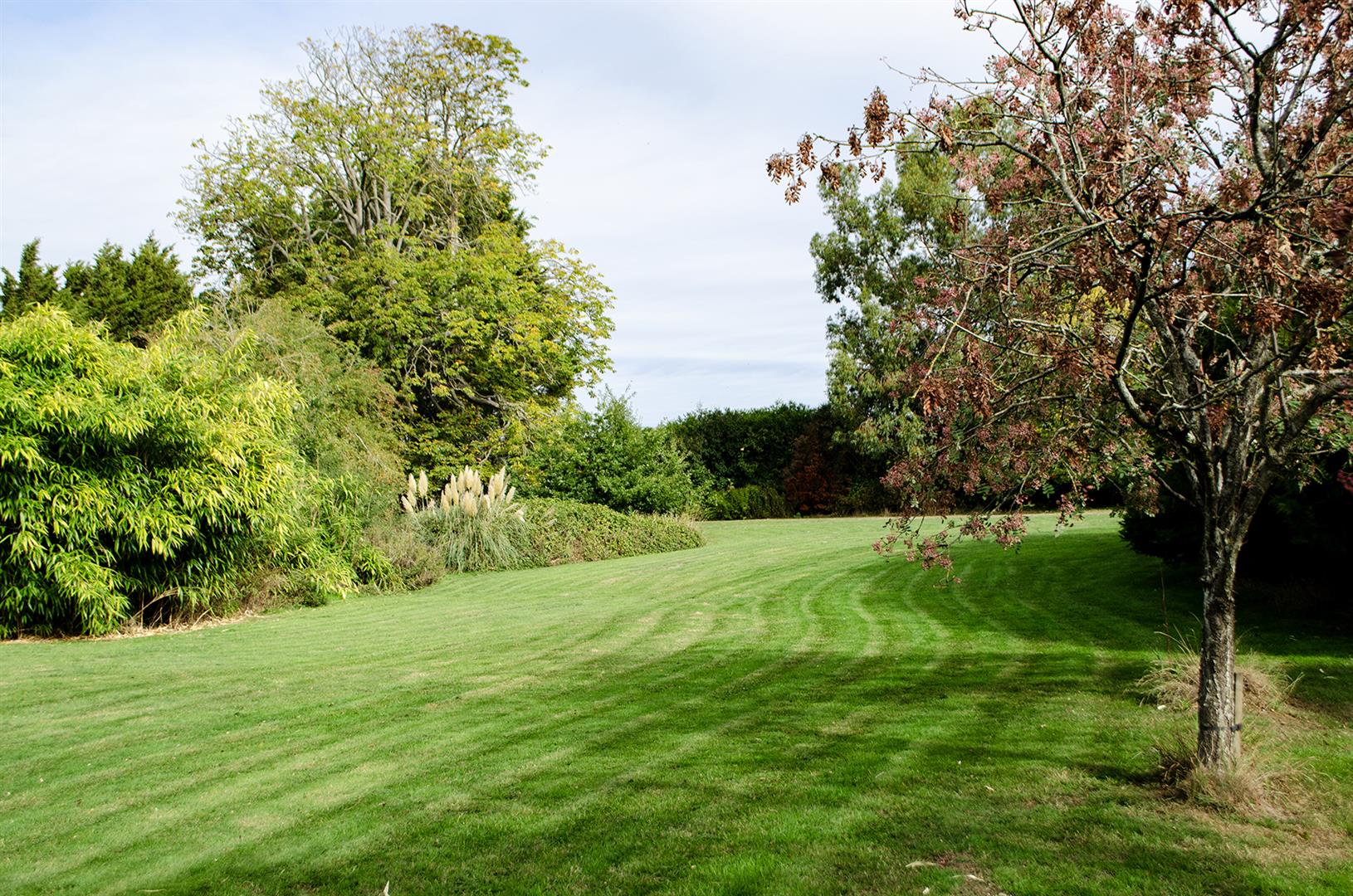 pond2 sm.jpg
